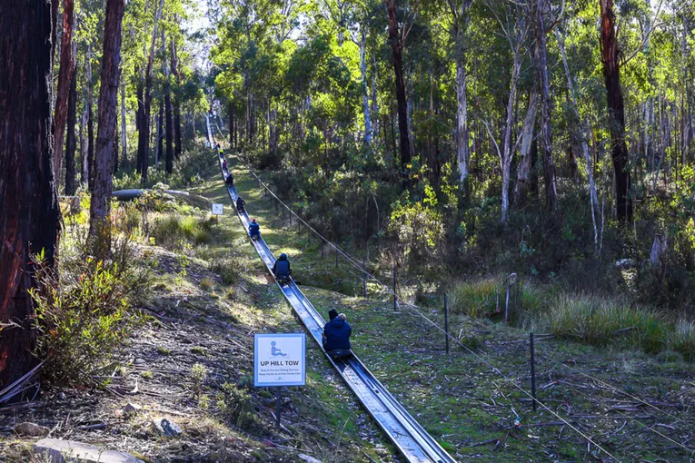 Corin Forest Scenic Alpine Slide - 1 Hour | Experience Oz