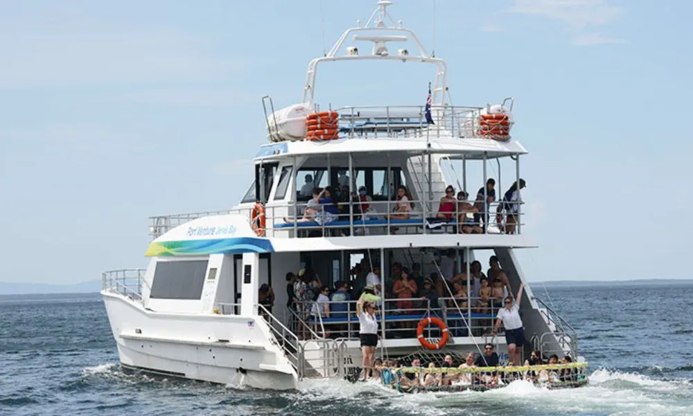 Jervis Bay Boom Net Dolphin Cruise – 90 Minutes | Experience Oz-2