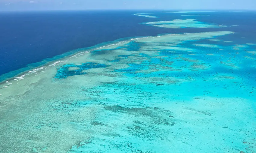 30 Minute Reef Helicopter Flight From Cairns - Book Now | Experience Oz