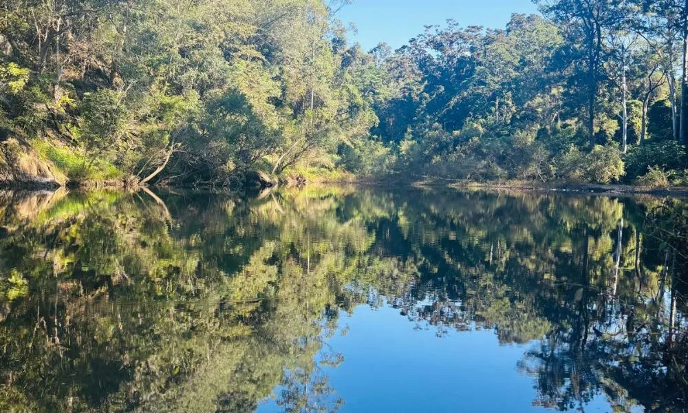 Sunshine Coast 4WD Hinterland Tour - Full Day | Experience Oz-6