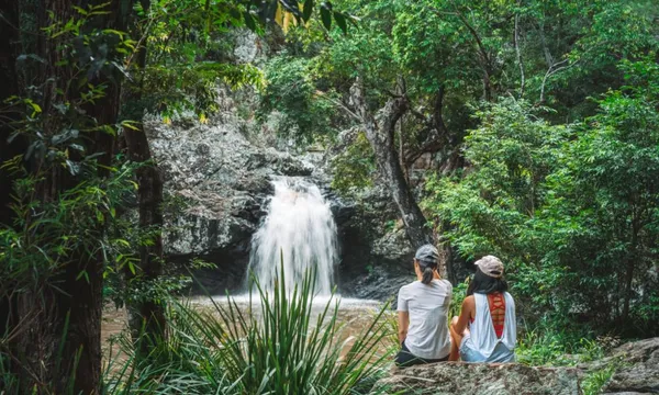 Sunshine Coast 4WD Waterfalls Tour and Picnic - Full Day