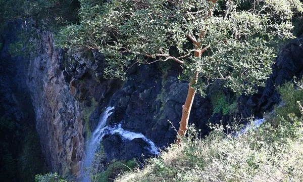 Sunshine Coast 4WD Waterfalls Tour and Picnic - Full Day