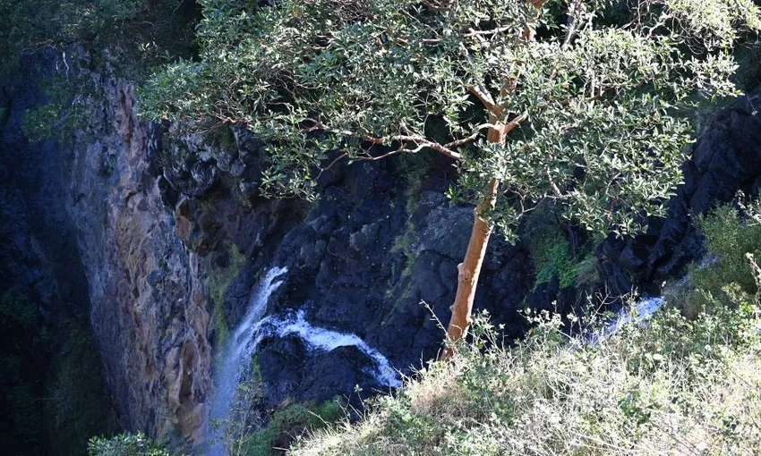 Sunshine Coast 4WD Waterfalls Tour - Full Day | Experience Oz