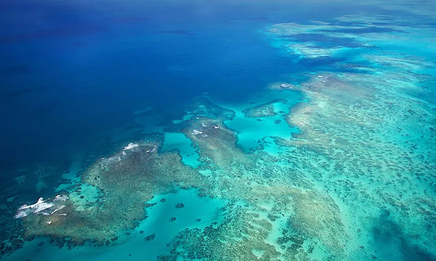 40 Minute Outer Reef Helicopter Flight - Book Now | Experience Oz