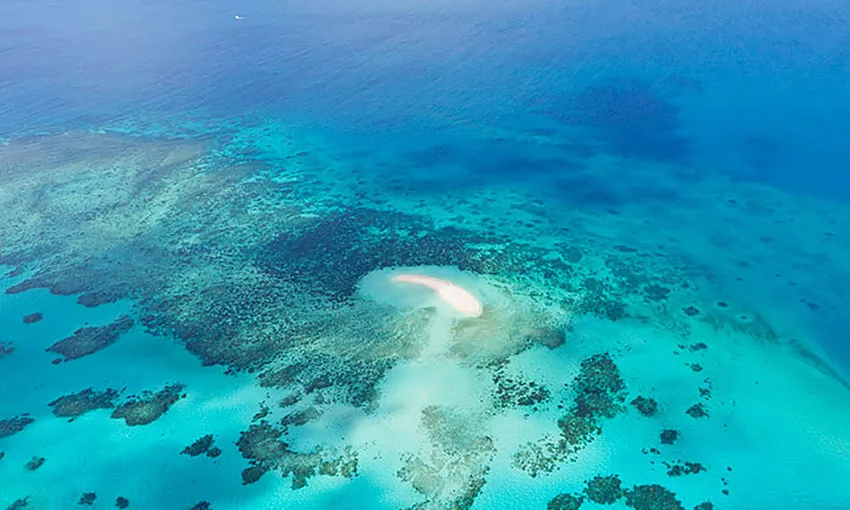 40 Minute Outer Reef Helicopter Flight - Book Now | Experience Oz