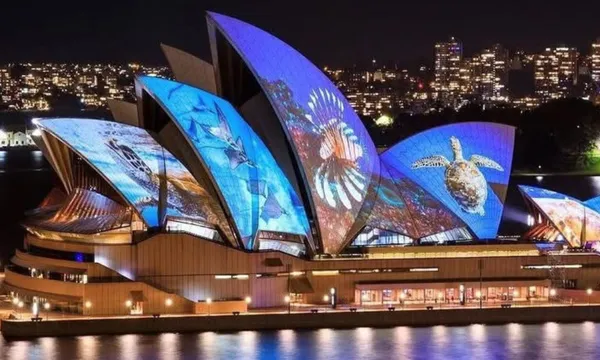 Sydney Vivid Private Cruise - 90 Minutes - For up to 70