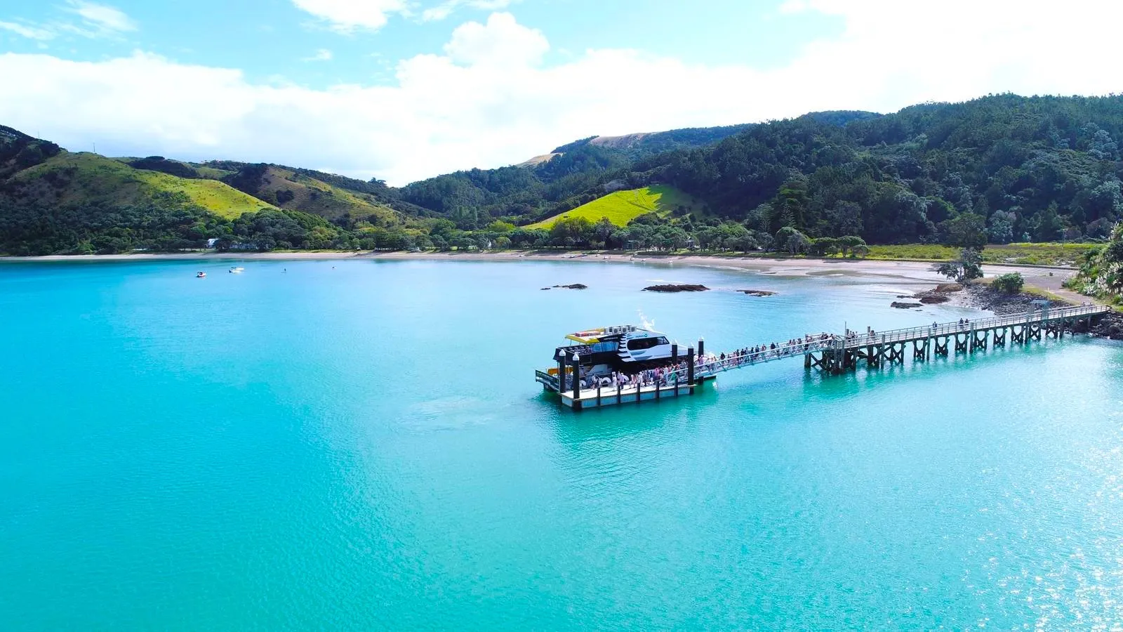 Rotoroa Island & Man O War Cruise - Full Day | Experience Oz + NZ-2