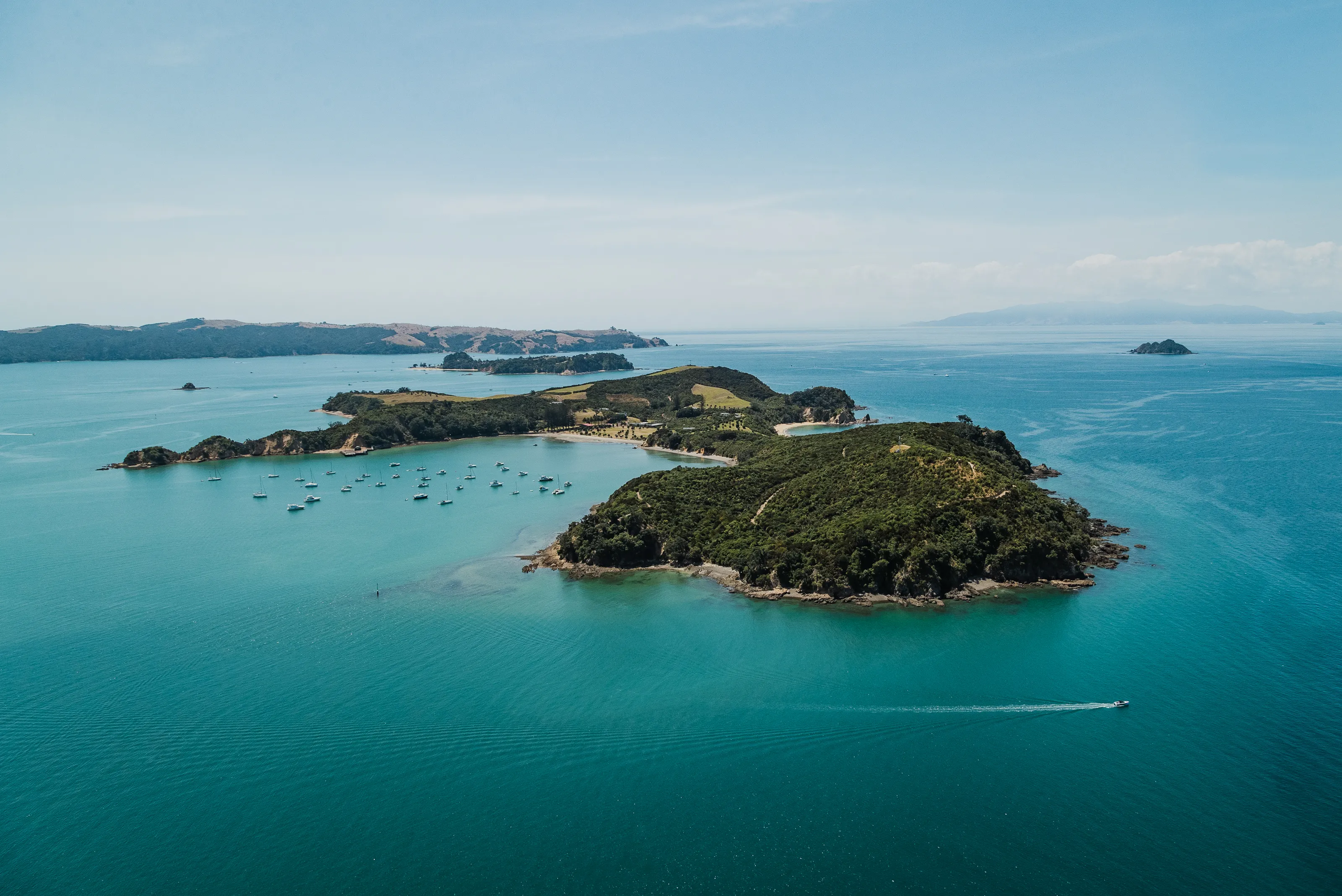 Rotoroa Island & Man O War Cruise - Full Day | Experience Oz + NZ-1