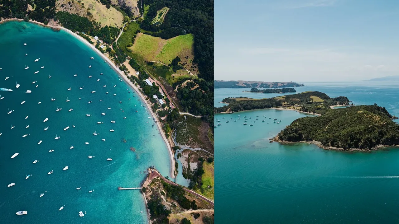 Rotoroa Island & Man O War Cruise - Full Day | Experience Oz + NZ-6