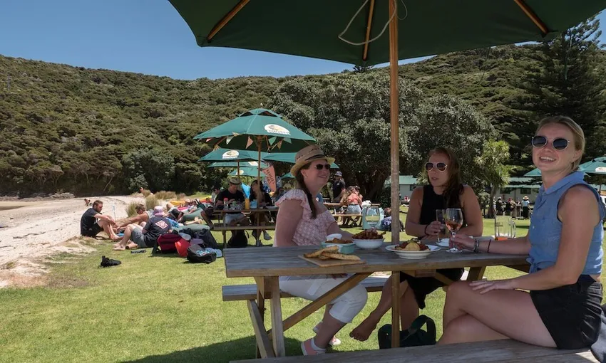 Hole in the Rock Cruise | Everything New Zealand