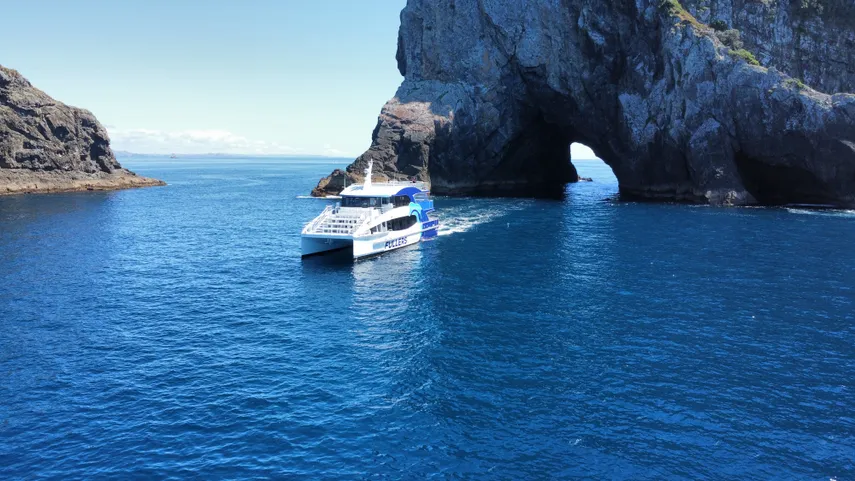 Hole in the Rock Cruise | Everything New Zealand