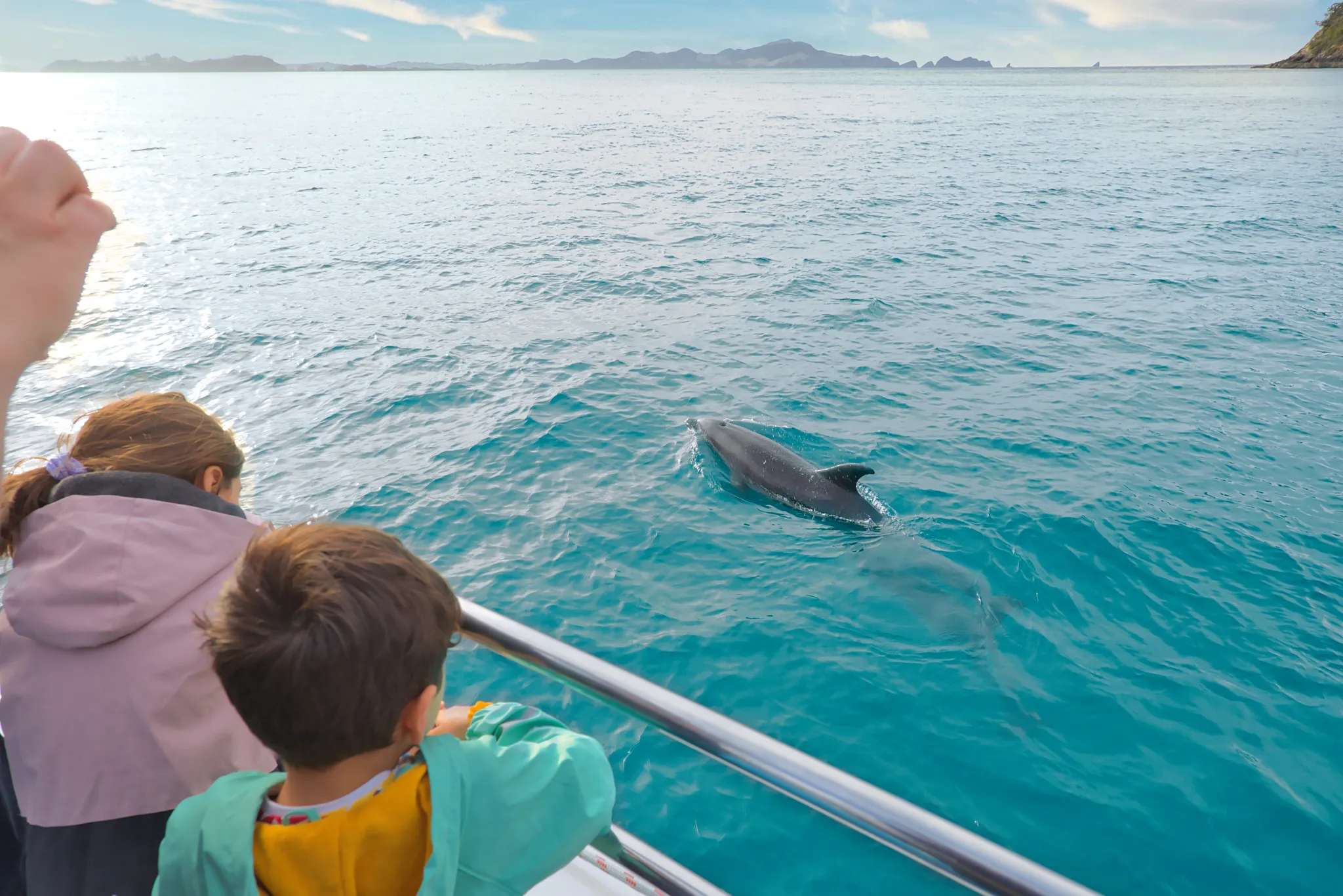 Hole in the Rock Cruise | Everything New Zealand-8