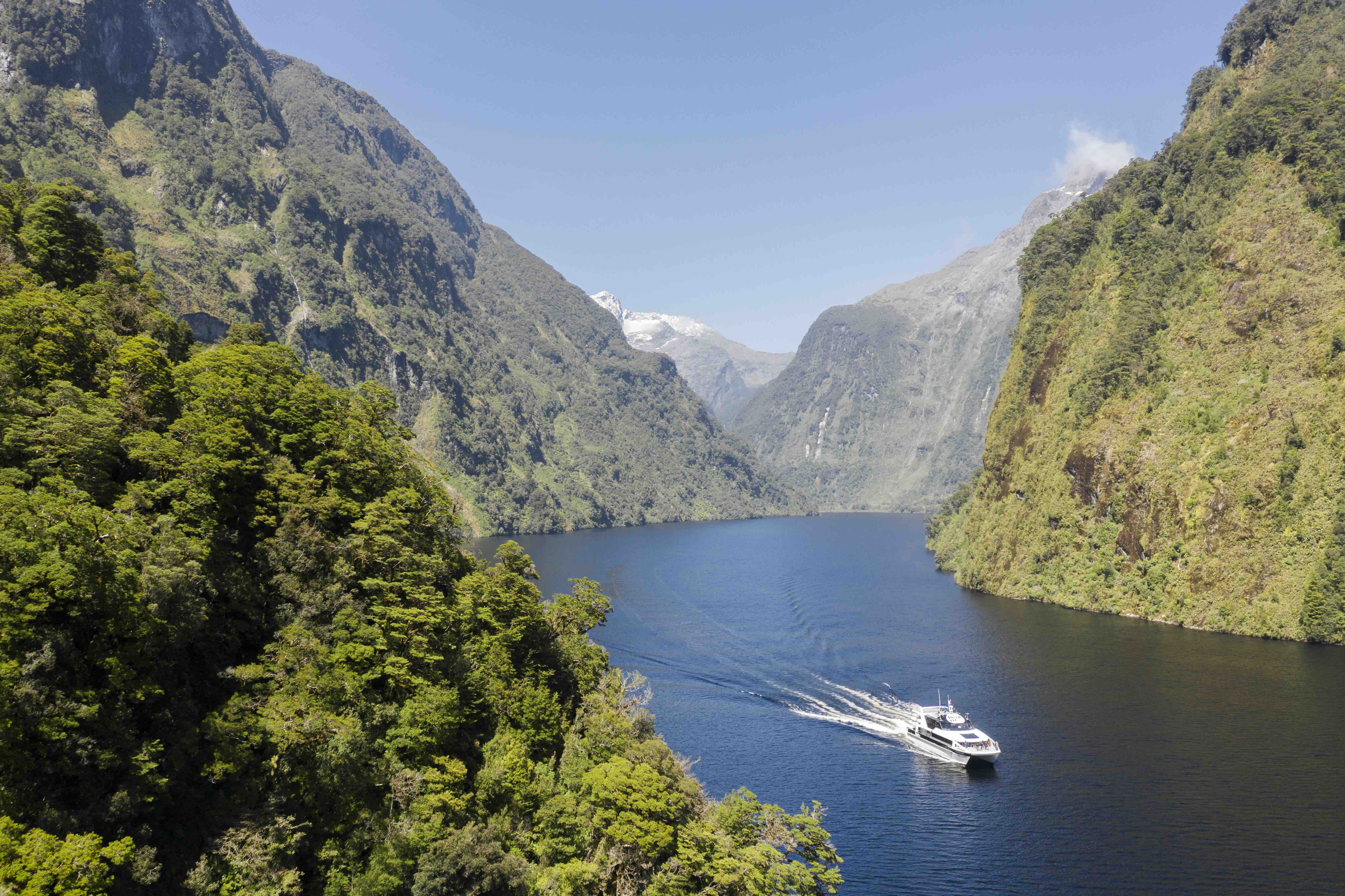 Doubtful Sound Wilderness Cruise from Manapouri | Everything New