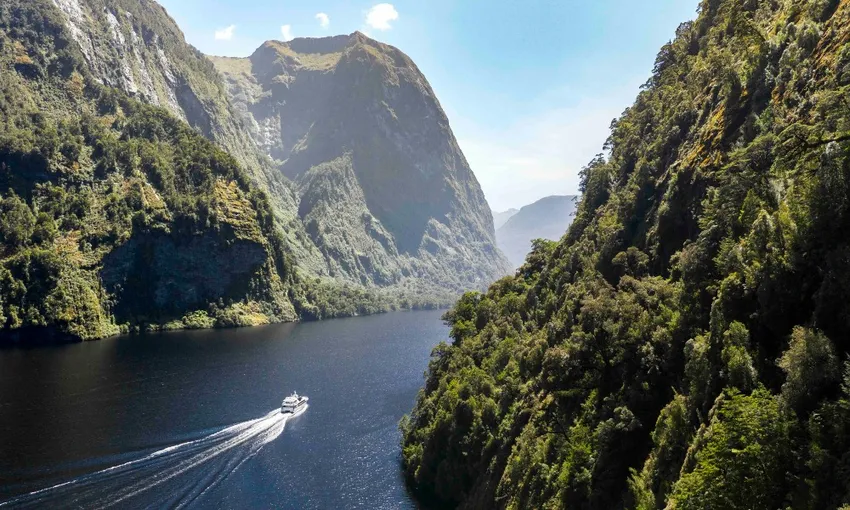 Doubtful Sound Wilderness Cruise from Manapouri | Everything New Zealand