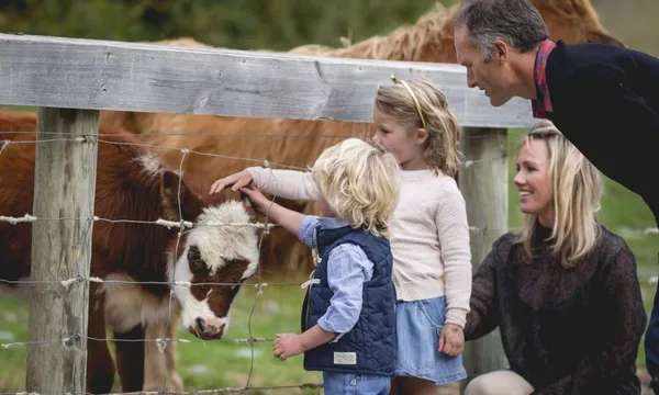 Earnslaw Lake Cruise & Guided Farm Tour