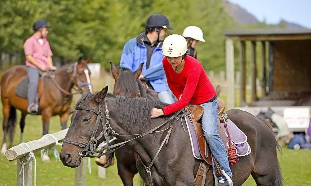 Horse Riding Walter Peak, Queenstown - Everything New Zealand-2