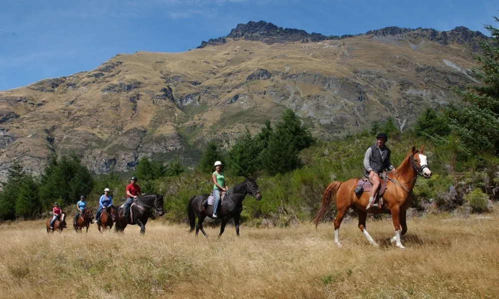 Horse Riding Walter Peak, Queenstown - Everything New Zealand-3
