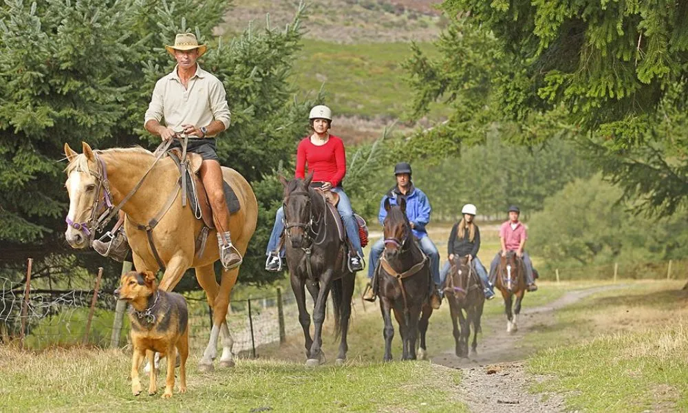 Horse Riding Walter Peak, Queenstown - Everything New Zealand-7