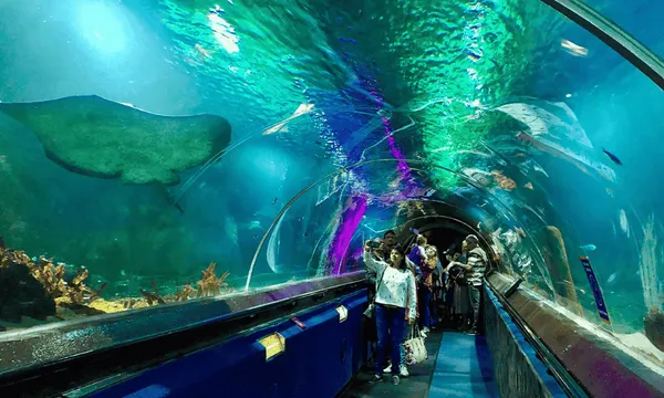 General Admission to Sea Life Kelly Tarlton's Aquarium