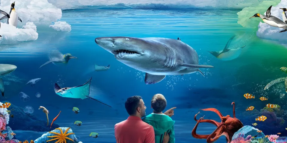 Kelly Tarltons Sea Life Aquarium Auckland | Everything New Zealand-1