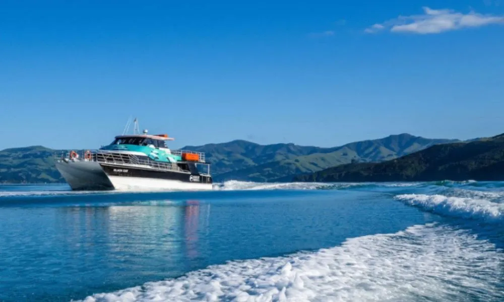 Akaroa Harbour Nature Cruise, Christchurch - Everything New Zealand-2
