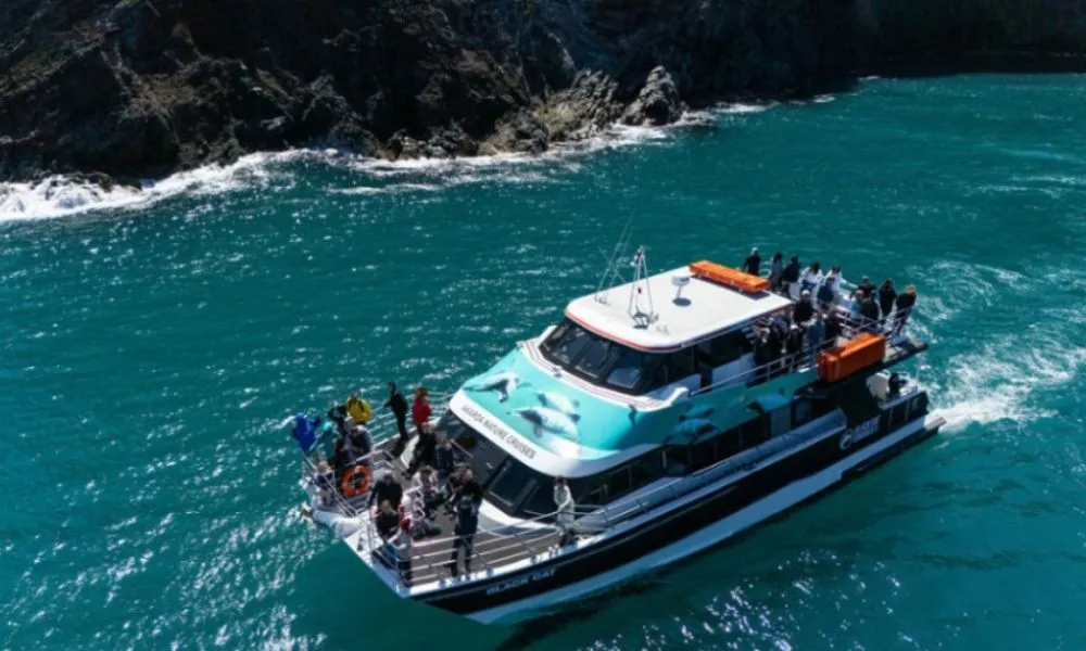 Akaroa Harbour Nature Cruise, Christchurch - Everything New Zealand-5