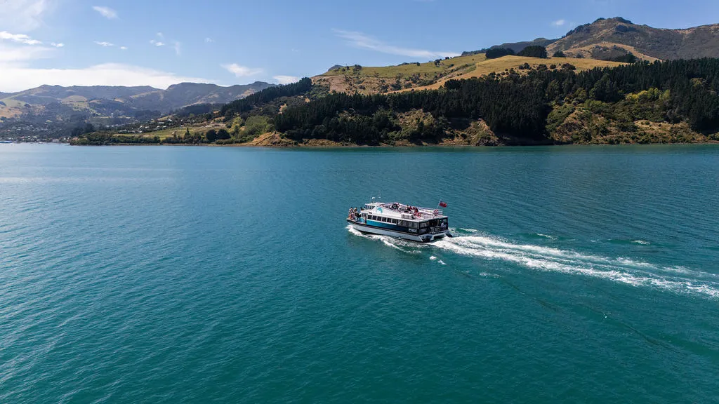 Akaroa Harbour Nature Cruise