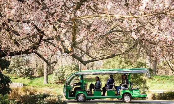 Christchurch Botanic Gardens Tour