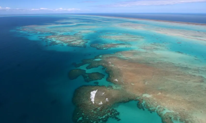 Cairns Rainforest & Waterfalls Scenic Flight - Book Now | Experience Oz