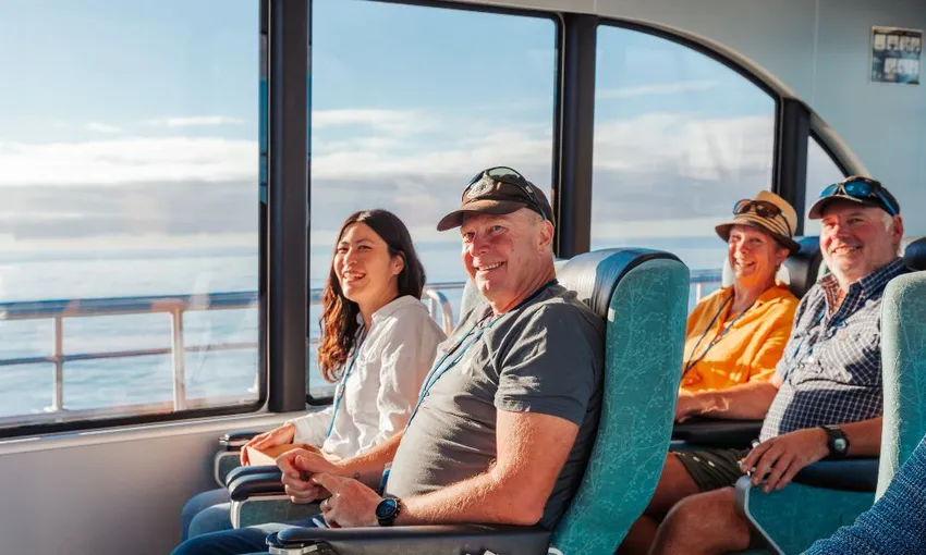 Whale Watching Kaikoura NZ