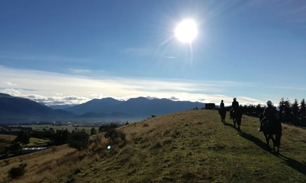 Te Anau Horse Riding Tours | Everything New Zealand-3
