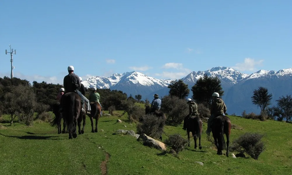 Te Anau Horse Riding Tours | Everything New Zealand-4