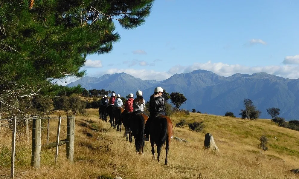 Te Anau Horse Riding Tours | Everything New Zealand-5
