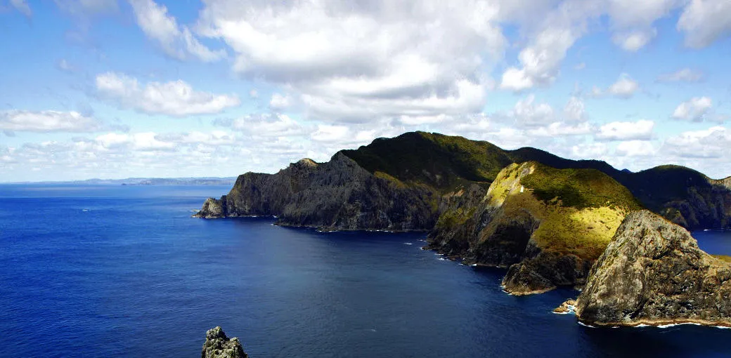 Hole in the Rock Helicopter Rides in Bay of Islands | Everything New Zealand-2