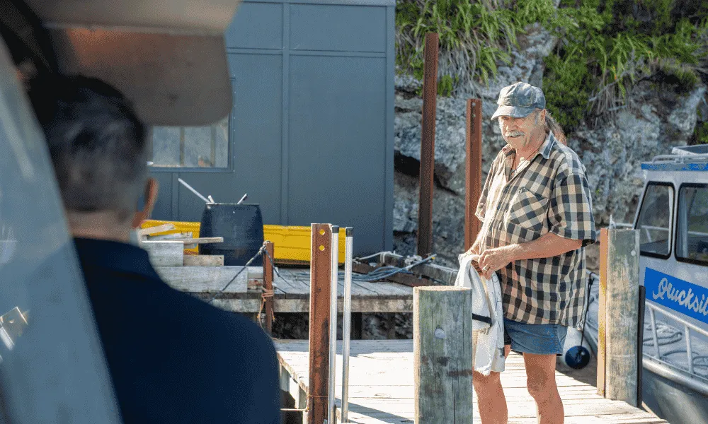 Picton Mail Boat Cruise | Everything New Zealand-3