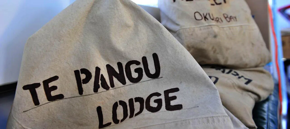 Picton Mail Boat Cruise | Everything New Zealand-5