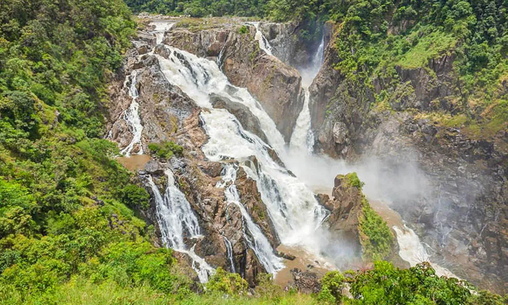 Cairns Rainforest Scenic Flight - 30 Minutes | Experience Oz-2