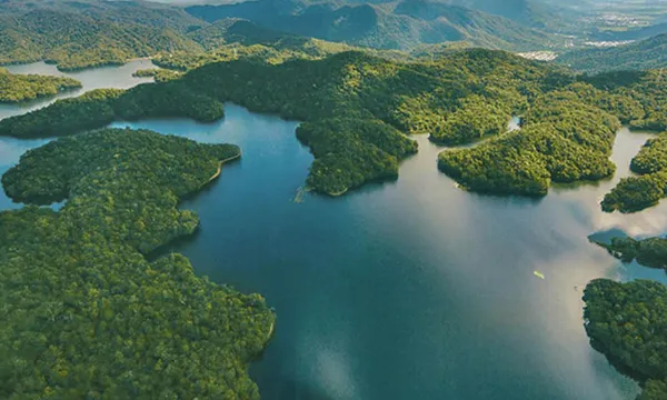Cairns Rainforest Scenic Flight - 30 Minutes