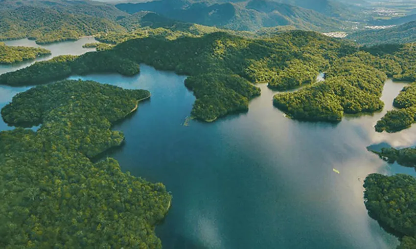 Cairns Rainforest Scenic Flight - 30 Minutes | Experience Oz