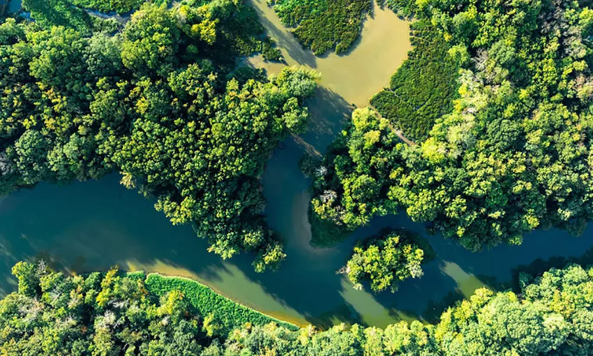 Cairns Rainforest Scenic Flight - 30 Minutes | Experience Oz