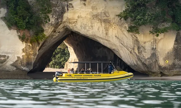 Cathedral Cove Boat Tour in The Coromandel