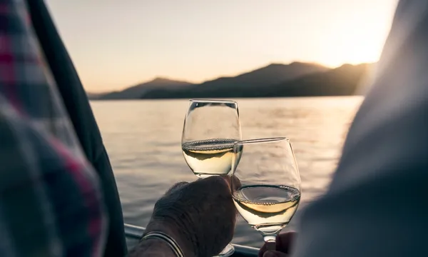 Full Day Wine & Seafood Tour from Blenheim