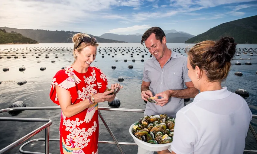 Marlborough Icons Tour Blenheim | Everything New Zealand