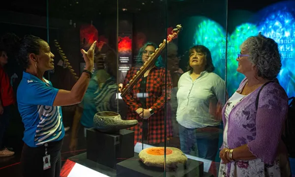 Introducing Te Papa Guided Tour & Museum Entry