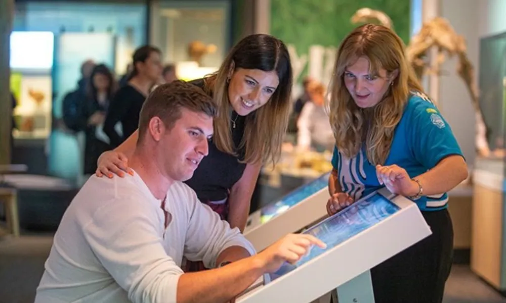 Te Papa Museum Wellington Guided Tour | Everything New Zealand-6