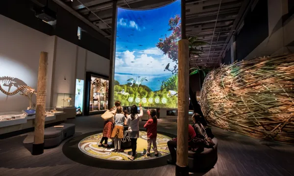 Introducing Te Papa Guided Tour & Museum Entry