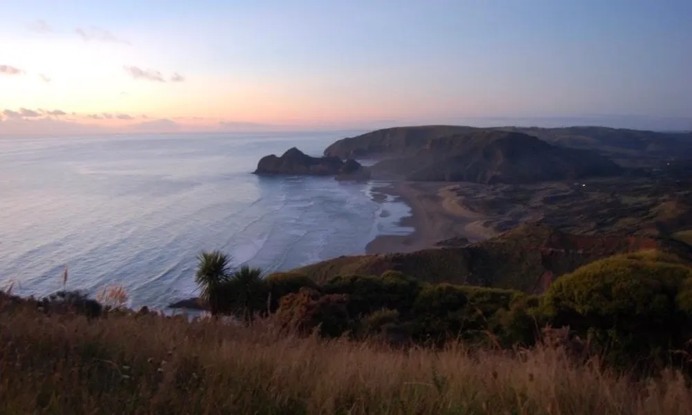 Coast to Coast Helicopter Flights Auckland | Everything New Zealand-6