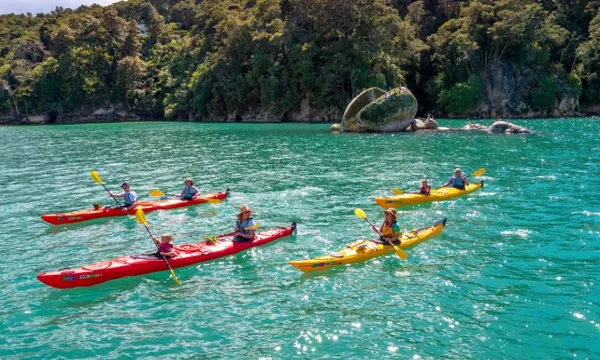 Guided Kayak, Seals & Cruise in Abel Tasman