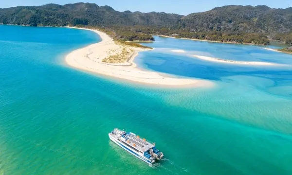 Guided Kayak, Seals & Cruise in Abel Tasman