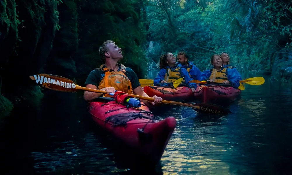 Glow Worm Kayak Tours | Kayaking Tauranga - Everything New Zealand-1